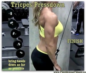 best triceps exercises for women