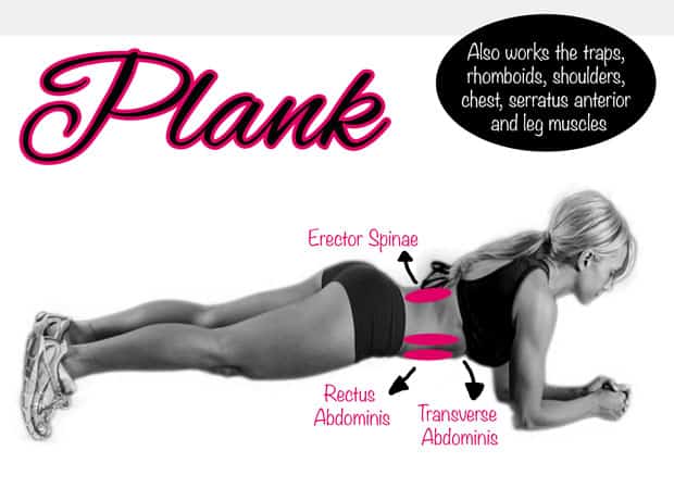 Fitness Tip Tuesday – Core Strengthening Exercise: The Plank