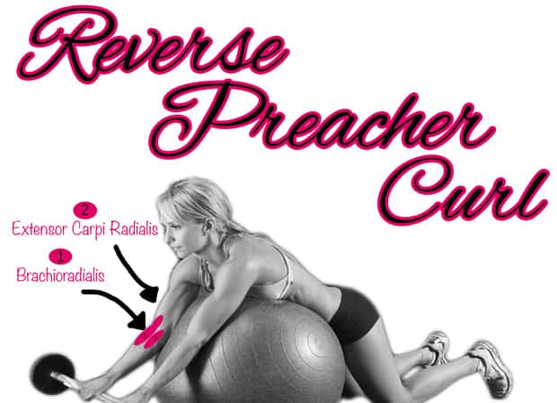 Fitness Tip Tuesday – Reverse Preacher Curl for Muscle Building