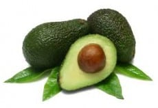 alvocado