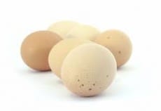 eggs