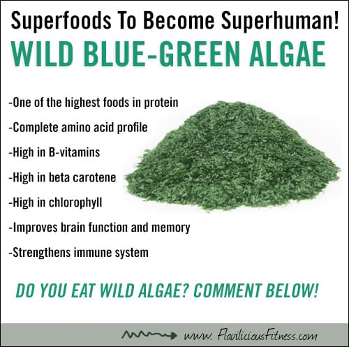 wild-crafted-blue-green-algae
